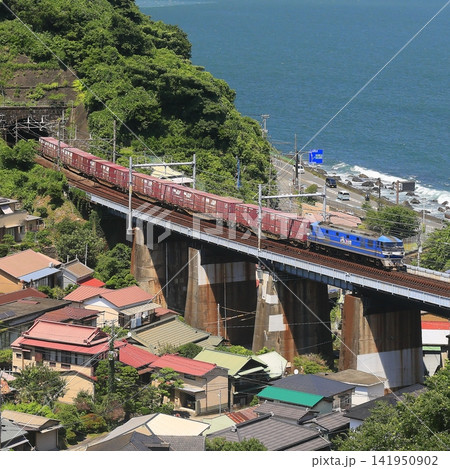 東海道線を走る貨物列車 東海道線を走る貨物列車 141950902