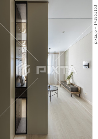Modern Apartment Interior with Built-In Open Shelving Unit and Living Room View Modern Apartment Interior with Built-In Open Shelving Unit and Living Room View 141951153