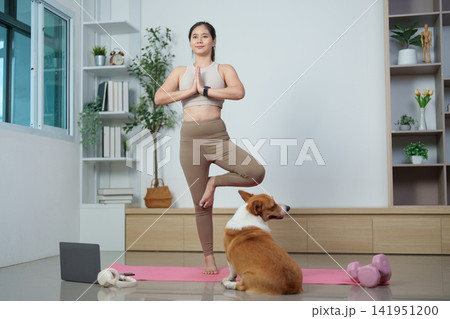 Asian woman practicing tree pose yoga with corgi dog in living room 141951200
