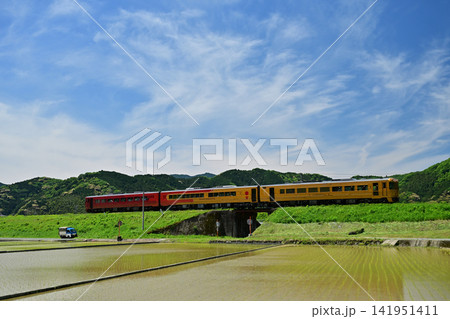 水田越しの築堤を走る観光列車『伊予灘ものがたり』 水田越しの築堤を走る観光列車『伊予灘ものがたり』 141951411
