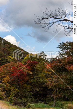 色鮮やかに色づく秋の山と紅葉の風景(縦構図) 色鮮やかに色づく秋の山と紅葉の風景(縦構図) 141951613