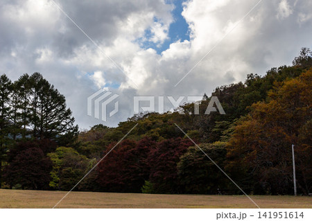 紅葉の深まりを見せる木々とダイナミックな秋空と広場 紅葉の深まりを見せる木々とダイナミックな秋空と広場 141951614