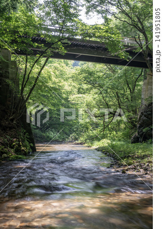 新緑の木々と橋の下を爽やかに流れる夏の相木川 新緑の木々と橋の下を爽やかに流れる夏の相木川 141951805