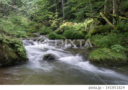苔むした岩間を躍動的に流れる夏の南相木川の渓流 苔むした岩間を躍動的に流れる夏の南相木川の渓流 141951824