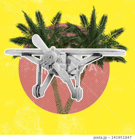 Travel to tropical destinations with an airplane and palm trees in the background during sunny weather Travel to tropical destinations with an airplane and palm trees in the background during sunny weather 141951847