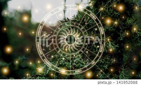 Astrology zodiac signs arranged among green leaves in a forest during daytime Astrology zodiac signs arranged among green leaves in a forest during daytime 141952088