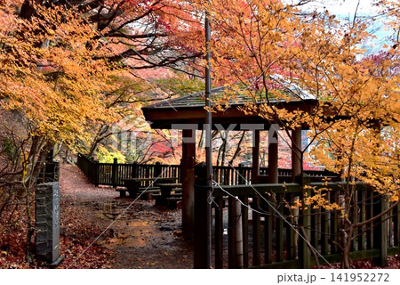 栃木県那須塩原市 塩原渓谷歩道の東屋と紅葉 栃木県那須塩原市 塩原渓谷歩道の東屋と紅葉 141952272