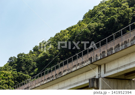 青空と新緑の山を背景に伸びるコンクリート橋梁（ローアングル） 141952394