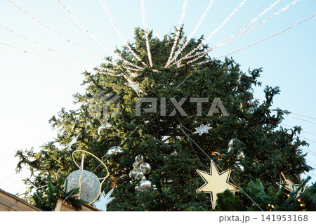 Christmas. Festively decorated christmas tree shines in the winter sunlight 141953168