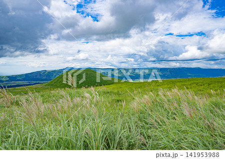 阿蘇の緑の草原と遠くのカルデラ山地 阿蘇の緑の草原と遠くのカルデラ山地 141953988