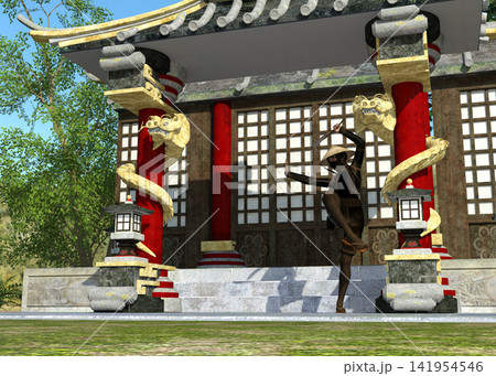 Ninja Figure Posing At Asian Temple Ninja Figure Posing At Asian Temple 141954546