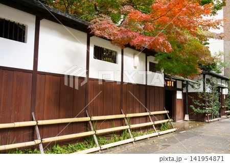 紅葉が見える日本家屋の塀6 141954871