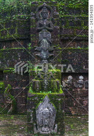 Faith shrouded in green lush grass and moss of Buddhist pagoda at Wat Tham Pla in Northern Thailand Faith shrouded in green lush grass and moss of Buddhist pagoda at Wat Tham Pla in Northern Thailand 141954895