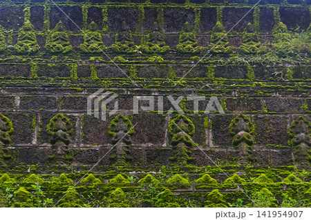 The faith shrouded in green at the Buddhist temple. The faith shrouded in green at the Buddhist temple. 141954907