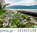 Massive plastic garbage and water hyacinth weed accumulate along the natural riverbank near wooden boat, highlighting severe environmental pollution crisis 141955198
