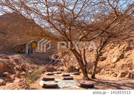 A serene yoga and meditation space under a large, bare tree in a desert setting. Cushions are arranged on the ground, surrounded by rocky terrain. A serene yoga and meditation space under a large, bare tree in a desert setting. Cushions are arranged on the ground, surrounded by rocky terrain. 141955513