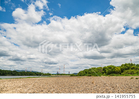 真夏の淀川風景 大阪府枚方市 真夏の淀川風景 大阪府枚方市 141955755
