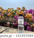 花のある風景 141955989