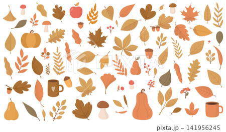 Autumn Elements Collection 141956245