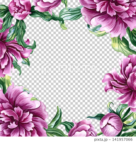 A frame featuring the flowers of a pink peony. A hand drawn watercolor illustration. Ideal for greeting and invitation cards, labels, packaging, certificates, posters, and much more. A frame featuring the flowers of a pink peony. A hand drawn watercolor illustration. Ideal for greeting and invitation cards, labels, packaging, certificates, posters, and much more. 141957066