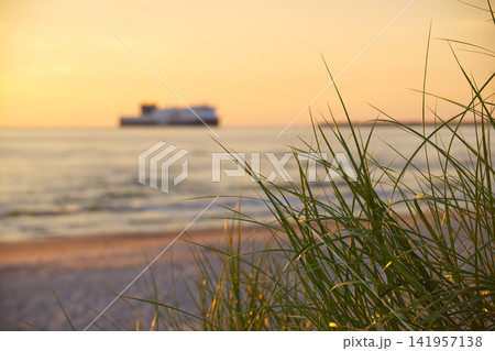 Golden Sunset Over Sea With Beach Grass in Foreground and Distant Ferry on Horizon Golden Sunset Over Sea With Beach Grass in Foreground and Distant Ferry on Horizon 141957138