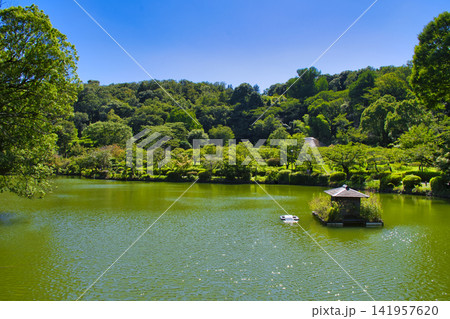【町田市】夏の薬師池公園 【町田市】夏の薬師池公園 141957620