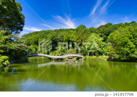 【町田市】夏の薬師池公園 【町田市】夏の薬師池公園 141957706