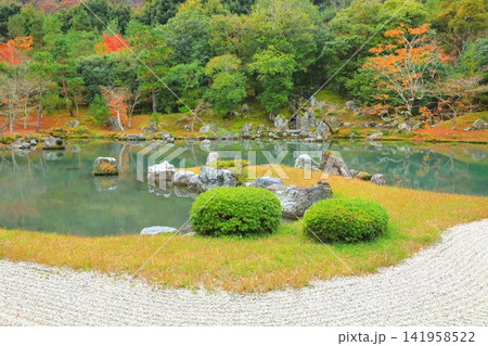 秋の天龍寺庭園(京都市) 秋の天龍寺庭園(京都市) 141958522