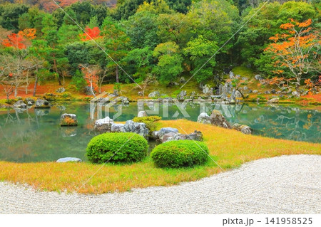 秋の天龍寺庭園（京都市） 141958525