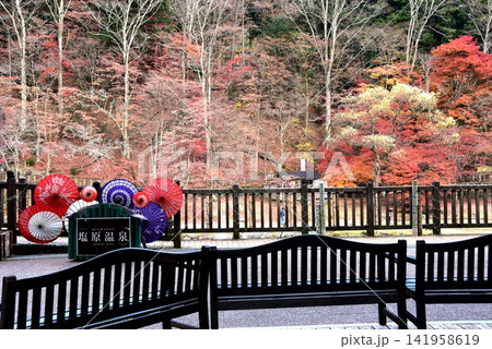 栃木県那須塩原市　箒川沿いの紅葉と塩原ものがたり館テラスと和傘 141958619