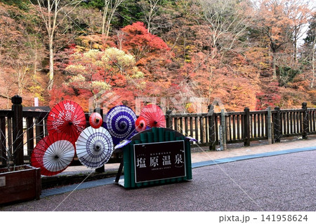 栃木県那須塩原市 箒川沿いの紅葉と塩原ものがたり館テラスと和傘 栃木県那須塩原市 箒川沿いの紅葉と塩原ものがたり館テラスと和傘 141958624