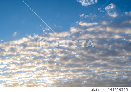 朝焼けのひつじ雲 141959336