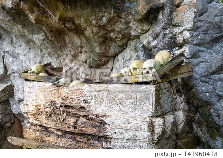 Toraja tombs and skulls in cave sanctuary, Sulawesi, Indonesia Toraja tombs and skulls in cave sanctuary, Sulawesi, Indonesia 141960418