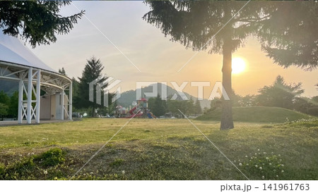 夏の終わり 夕方の公園 夏の終わり 夕方の公園 141961763