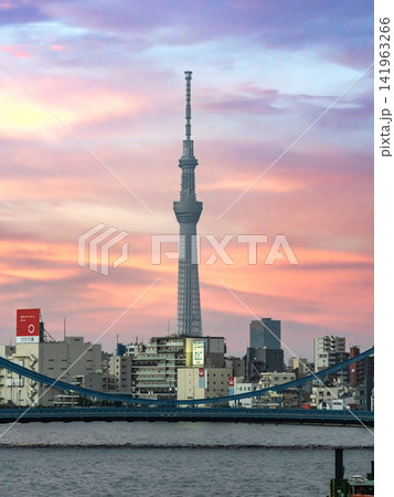 隅田川大橋から見るスカイツリーと清洲橋の夕景 隅田川大橋から見るスカイツリーと清洲橋の夕景 141963266