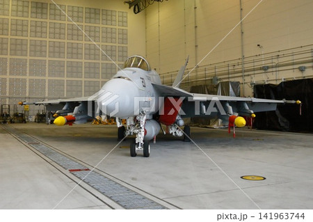 格納庫に駐機された軍用戦闘機の正面写真 141963744