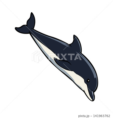Dolphin mascot logo illustration design template Dolphin mascot logo illustration design template 141963762