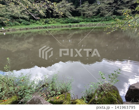 神奈川県大和市 泉の森公園 谷川 森林 貯水池 橋 水車 引地川 水源地 特別緑地保全 神奈川県大和市 泉の森公園 谷川 森林 貯水池 橋 水車 引地川 水源地 特別緑地保全 141963795