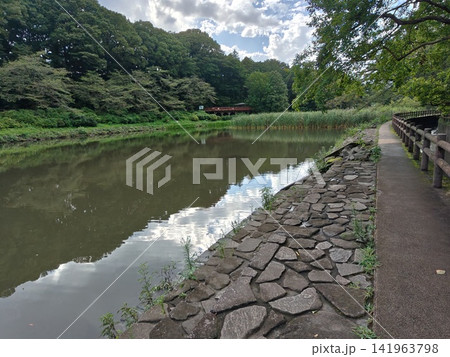 神奈川県大和市 泉の森公園 谷川 森林 貯水池 橋 水車 引地川 水源地 特別緑地保全 神奈川県大和市 泉の森公園 谷川 森林 貯水池 橋 水車 引地川 水源地 特別緑地保全 141963798