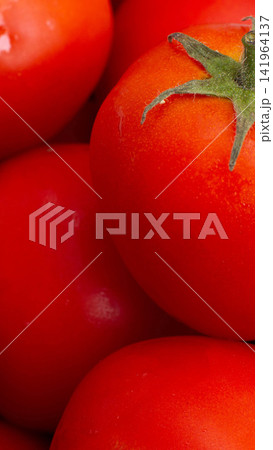 Vibrant red ripe tomatoes with fresh green stem and glistening water droplets, natural organic produce texture, healthy cooking ingredient, bright color studio closeup vertical photo Vibrant red ripe tomatoes with fresh green stem and glistening water droplets, natural organic produce texture, healthy cooking ingredient, bright color studio closeup vertical photo 141964137