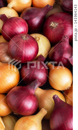 Array of red and yellow onions close up displaying natural textures and vibrant colors for culinary use and market display vertical photo Array of red and yellow onions close up displaying natural textures and vibrant colors for culinary use and market display vertical photo 141964143