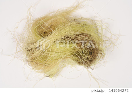 Corn silk fibers on white background Corn silk fibers on white background 141964272