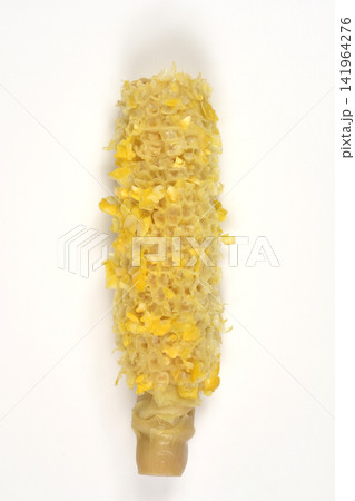 Eaten corn cob on a white background Eaten corn cob on a white background 141964276