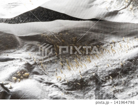 Close up view of extracted sebum and acne from facial skin pores on surface of used pore cleansing strip, showing results of hygiene treatment and cosmetology procedure Close up view of extracted sebum and acne from facial skin pores on surface of used pore cleansing strip, showing results of hygiene treatment and cosmetology procedure 141964798