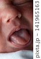 Newborn baby close-up of face showing small nose and open mouth with tongue slightly out, tender skin details visible on tiny infant features, expression of sleep vertical photo 141965163