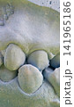 An abstract macro shot a dental impression of a jaw used for making dental crowns; vertical photo 141965186