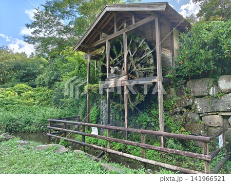 神奈川県大和市 泉の森公園 谷川 森林 貯水池 橋 水車 引地川 水源地 特別緑地保全 神奈川県大和市 泉の森公園 谷川 森林 貯水池 橋 水車 引地川 水源地 特別緑地保全 141966521