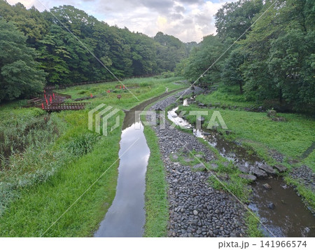 神奈川県大和市 泉の森公園 谷川 森林 貯水池 橋 水車 引地川 水源地 特別緑地保全 神奈川県大和市 泉の森公園 谷川 森林 貯水池 橋 水車 引地川 水源地 特別緑地保全 141966574
