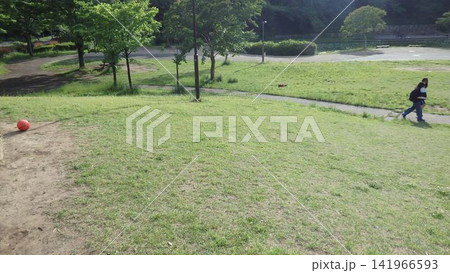 神奈川県大和市  泉の森公園　谷川　森林　貯水池　橋　水車　引地川　 水源地　特別緑地保全 141966593