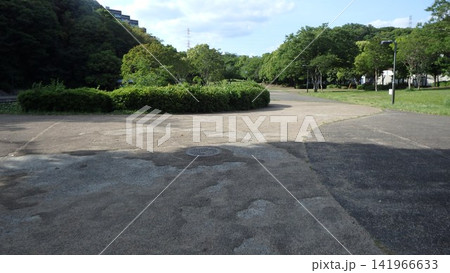 神奈川県大和市 泉の森公園 谷川 森林 貯水池 橋 水 神奈川県大和市 泉の森公園 谷川 森林 貯水池 橋 水 141966633